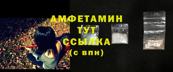 индика Дмитров