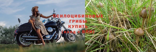 наркотики Абинск